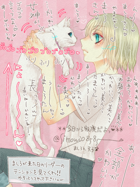 猫に激しく話しかける25歳の男っ❤️✨