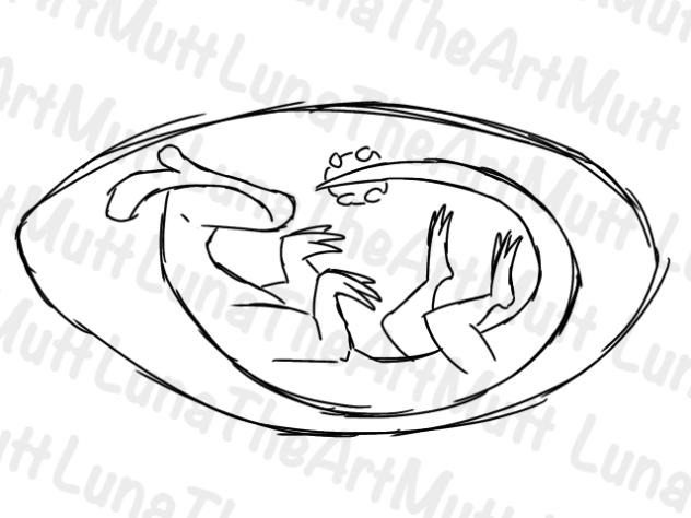 Meek breathing in egg-ith