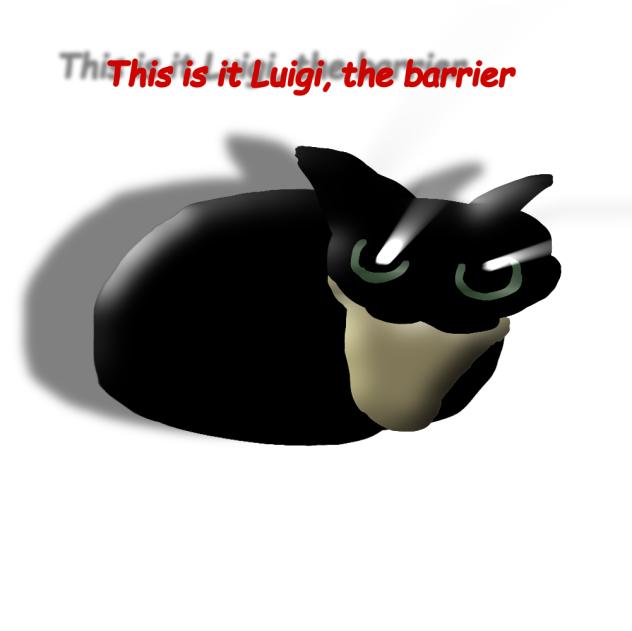 This is it Luigi, the barrier.