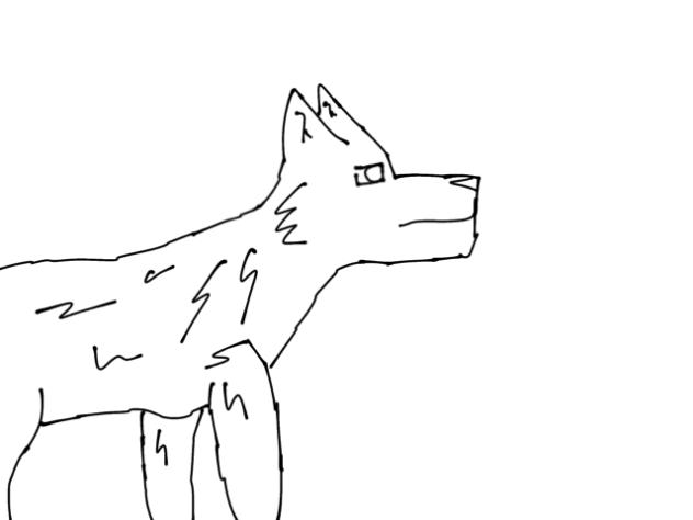 Wolf animation