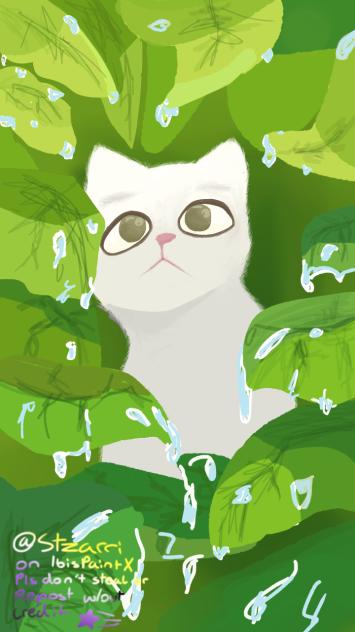 In the Bush... 🌿 🐾