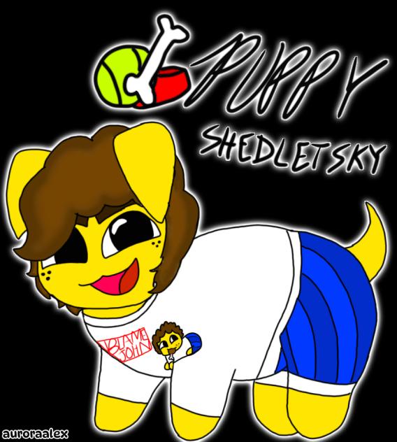 puppy shedletsky