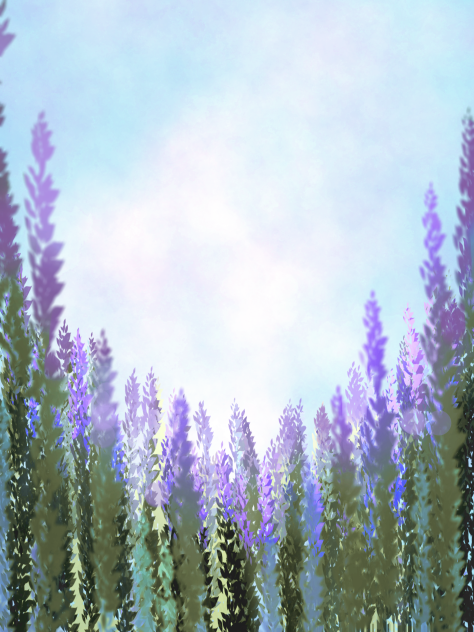 IBM2317 low angle lavender field