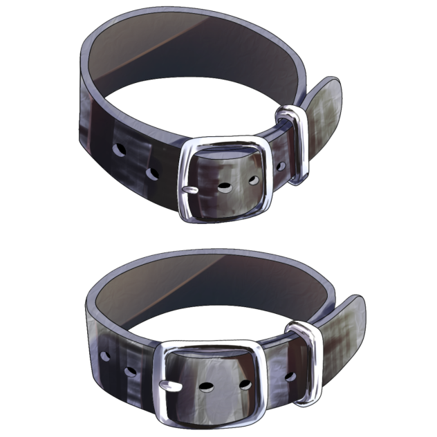 Buckle Choker