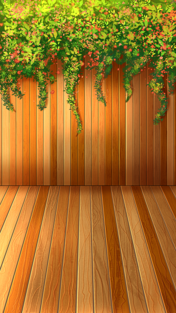 Fence sunset
