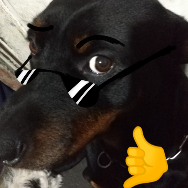 😎🤙