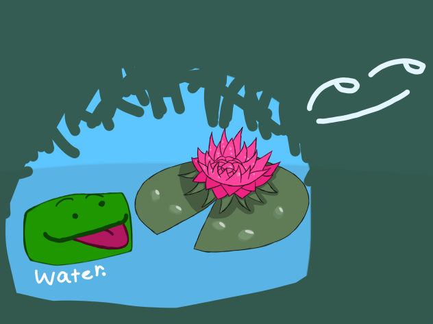 Water.