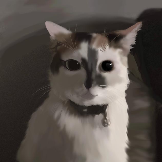 Cookie cat