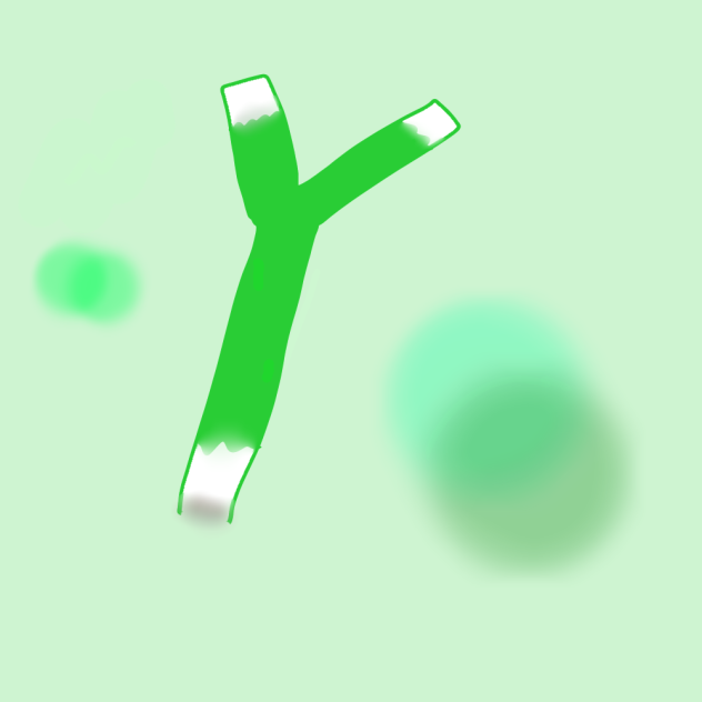 ネギ