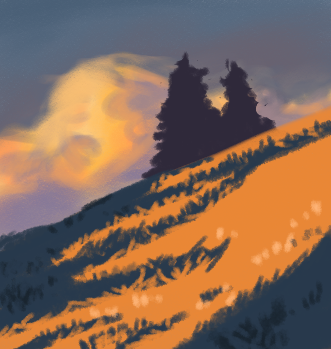 Mountainside Sunset - ibisPaint