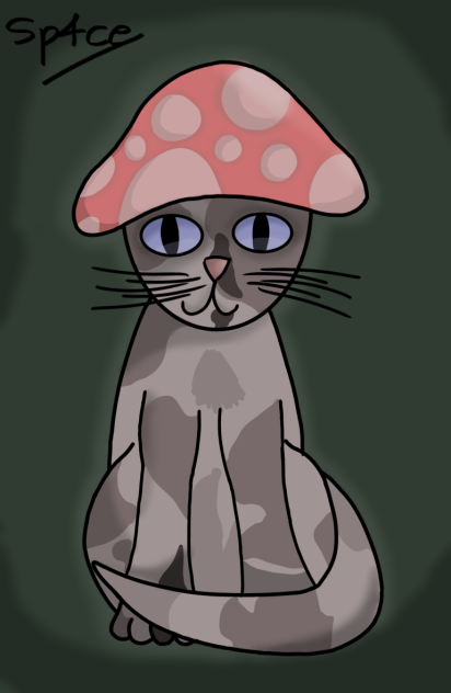 Mushroom kitty