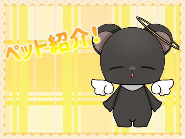 ペット紹介！_修復済み3