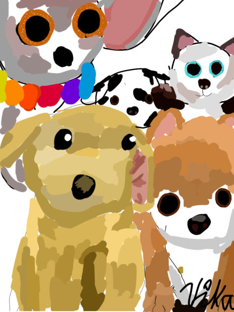 puppy  toys ♥️