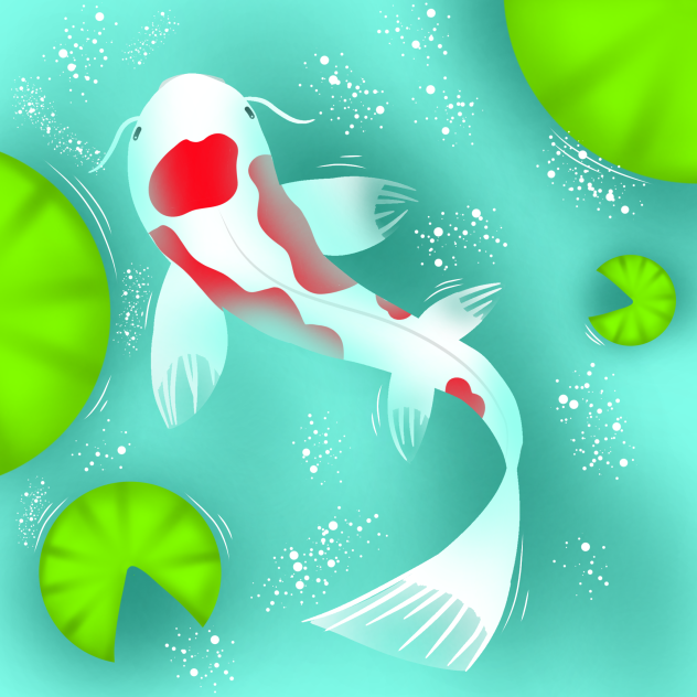 Koi fish