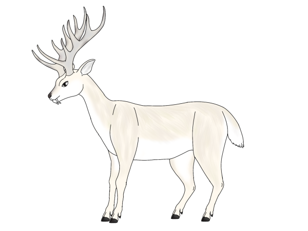 Panigotlo render