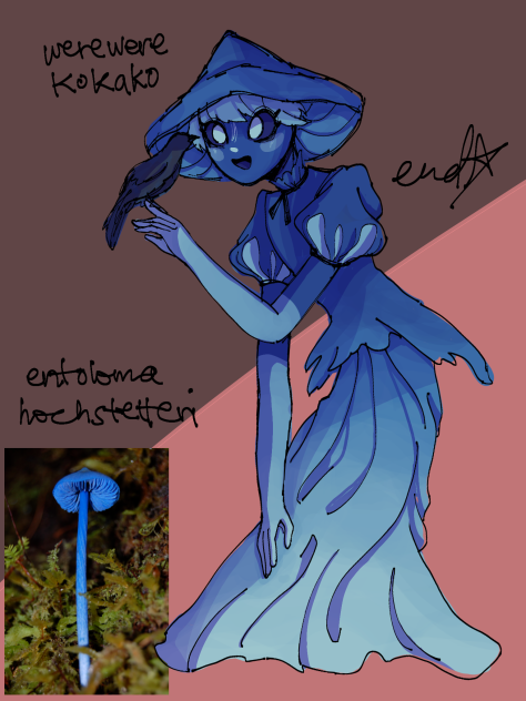 funguary 2023 day8; werewere-kokako