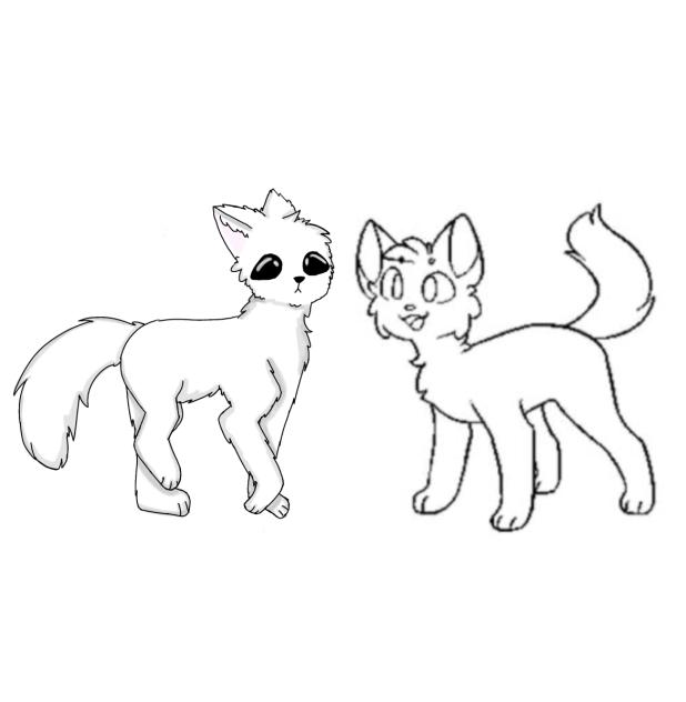 Do a cat collab with me!