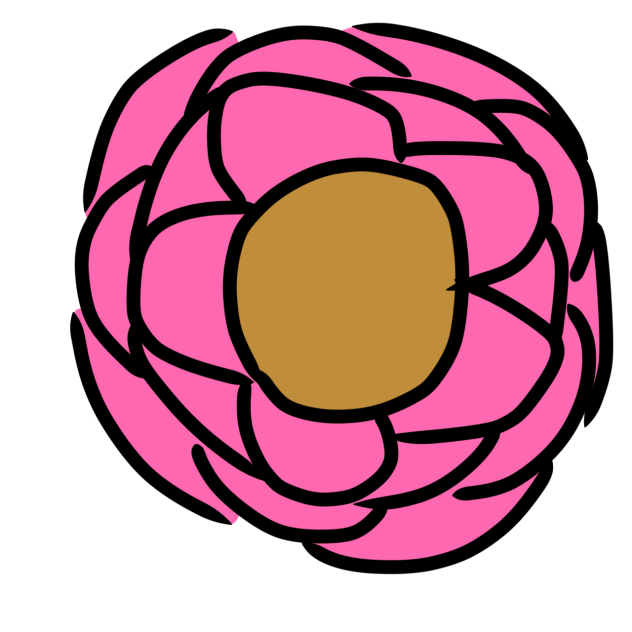 A FLOWER