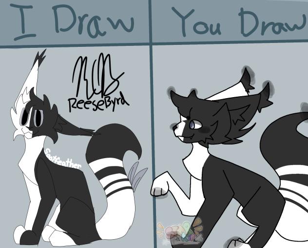 I think im doing to much collabs....