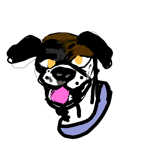 Doggi