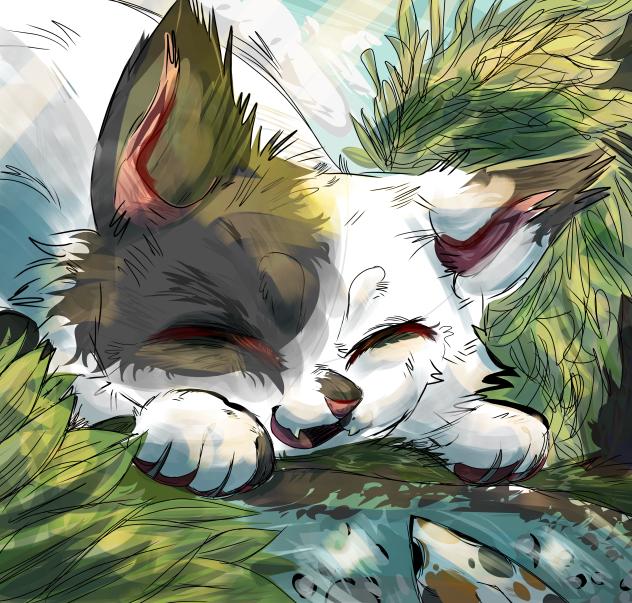 kitty - ibisPaint