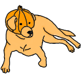 Halloween Pup