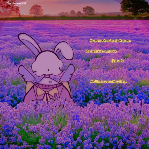 pretty flowers