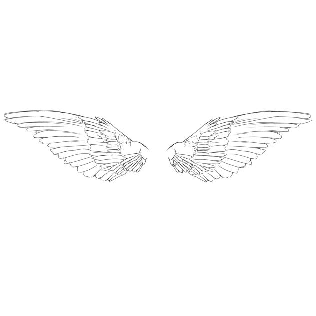 wings - ibisPaint