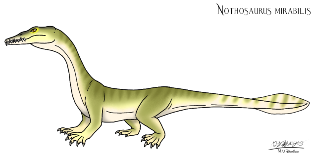 Nothosaurus mirabilis - Redraw