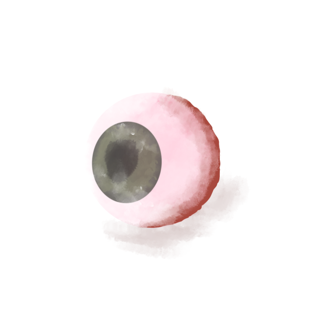 eye  render.     renderização de olho