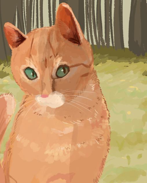 cute feline