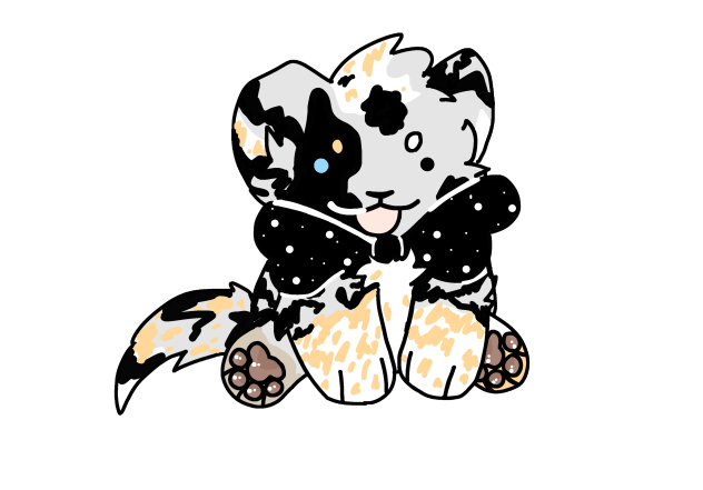 Australian Shepherd pup