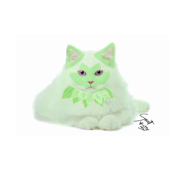 Realistic sprigatito