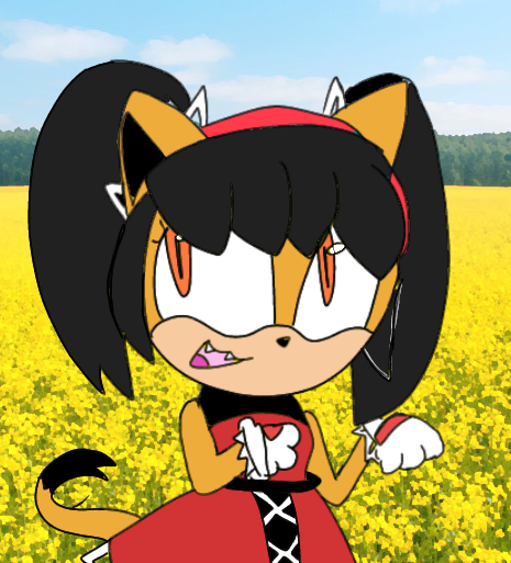 Honey the cat