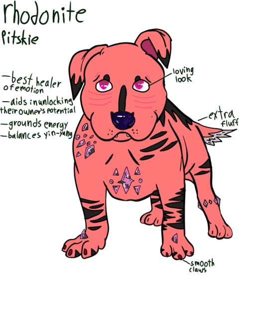 The Pitskie i need
