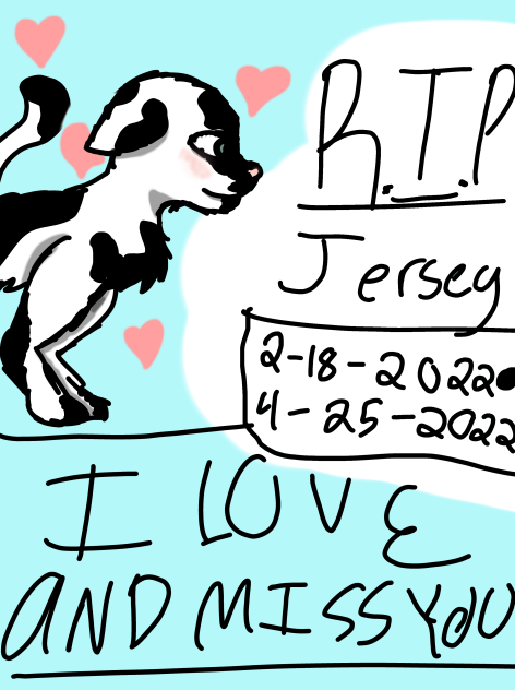 For my dead cat, Jersey