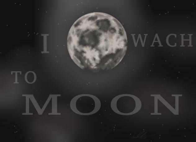 🌒