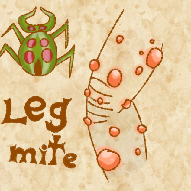 leg mite