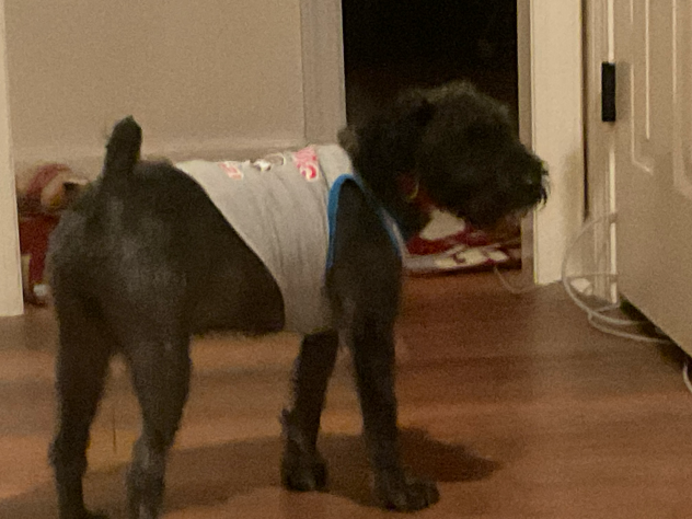 this is what he looks like!