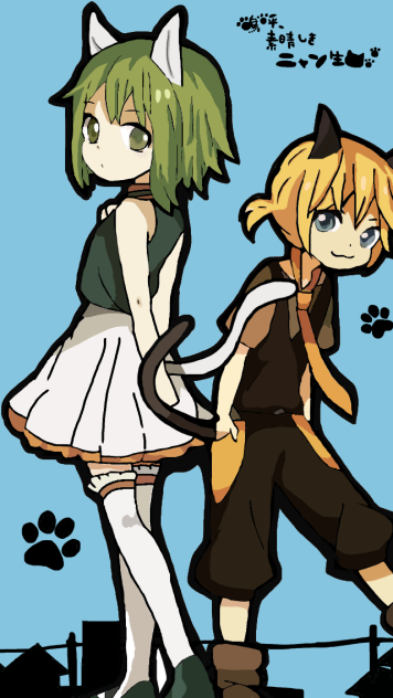 嗚呼、素晴らしきニャン生②