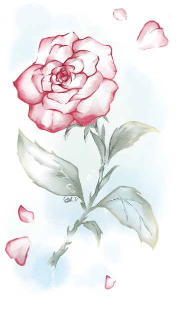 Rose 🌹