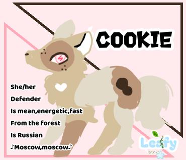 cookie🍪