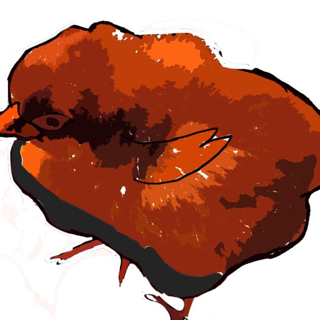 chicken