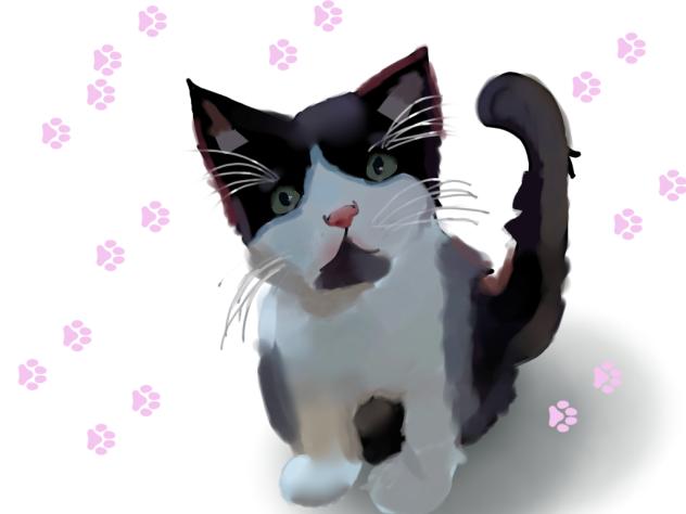 tried drawing my cat ♡