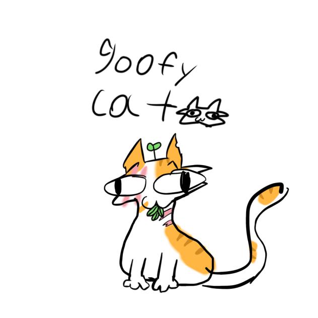 Some goofy cat⭐️