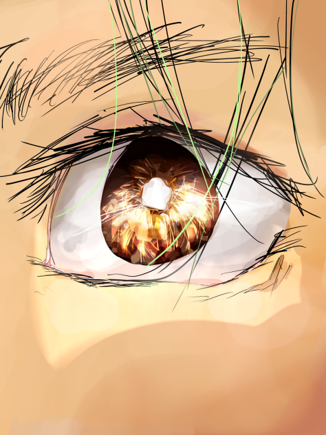 An oc’s eye