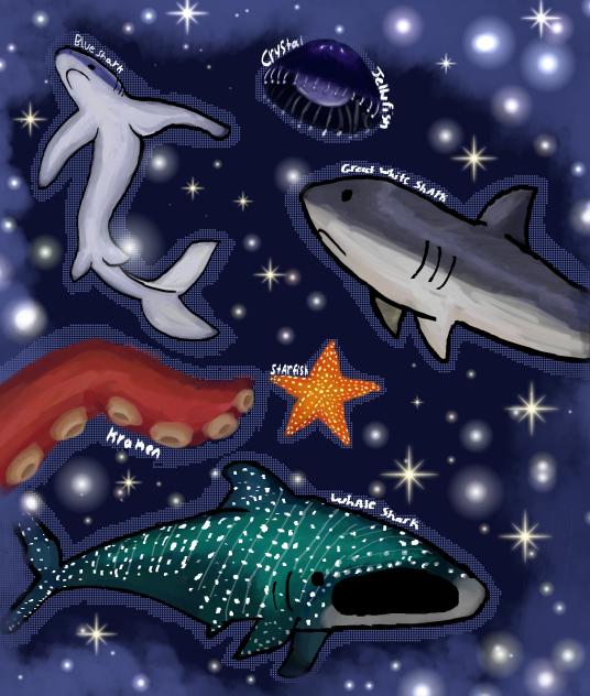 sea creatures