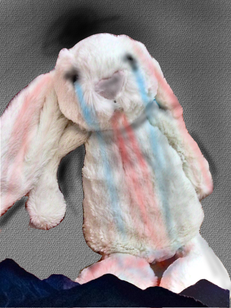 Poor little bunny 😔
