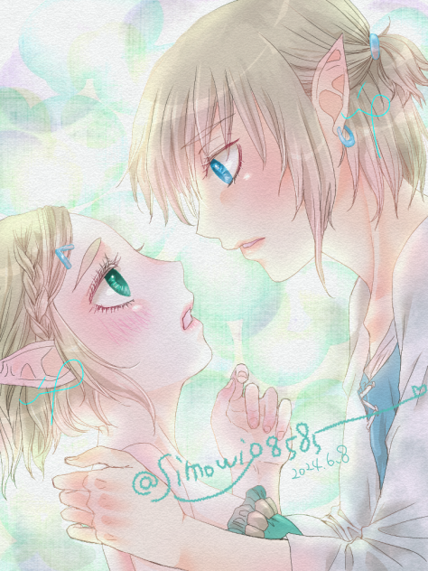 リンクとゼルダ姫、の匂わせ🍄💕