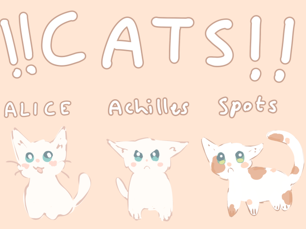My grandparents cats!!